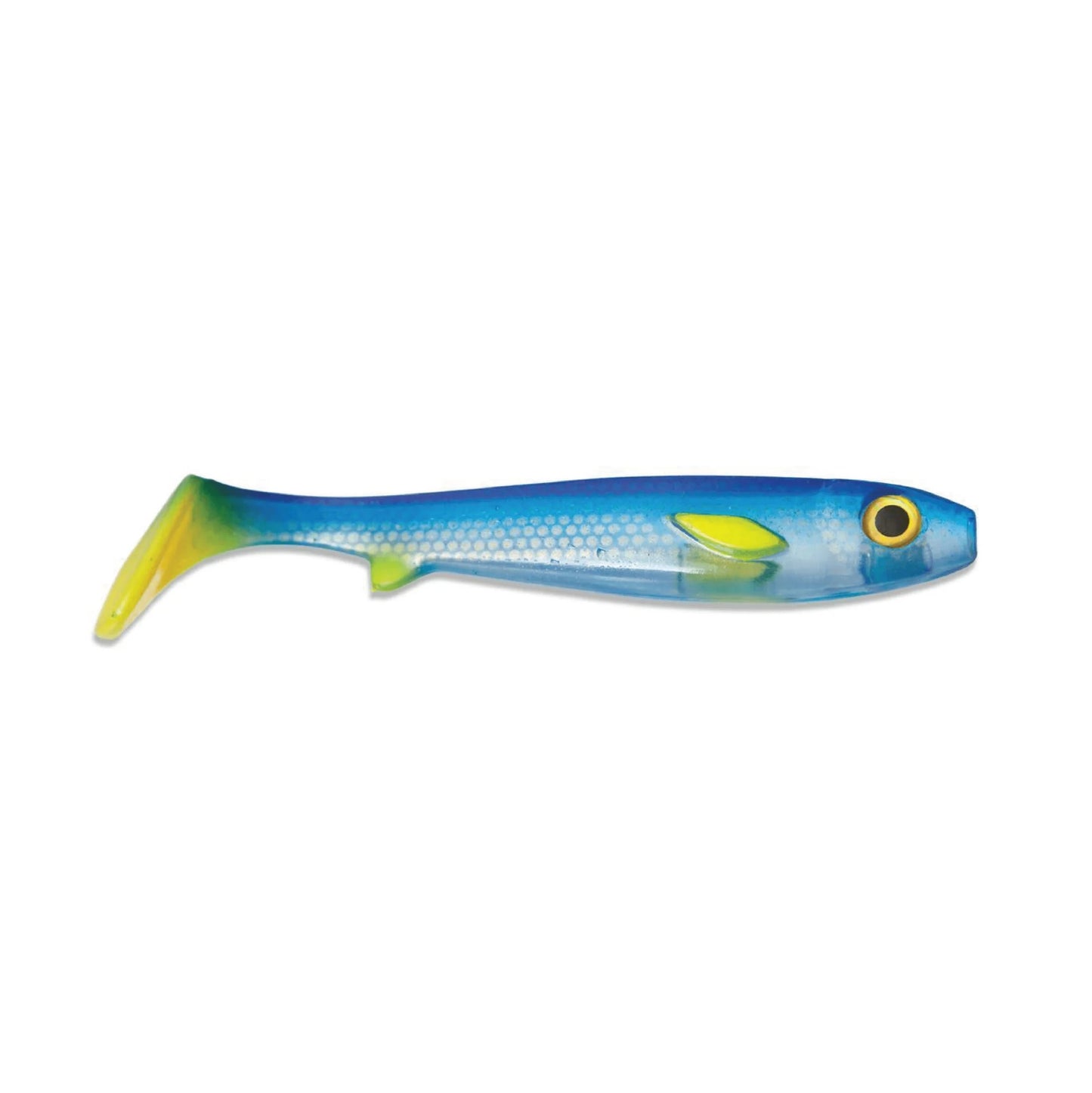 Kanalgratis Flatnose Shad