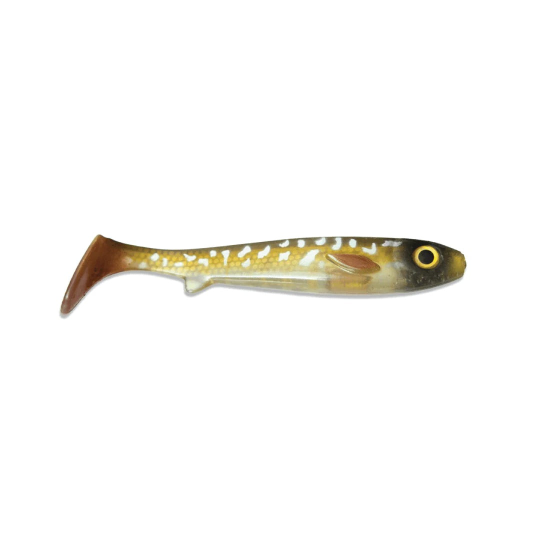 Kanalgratis Flatnose Shad