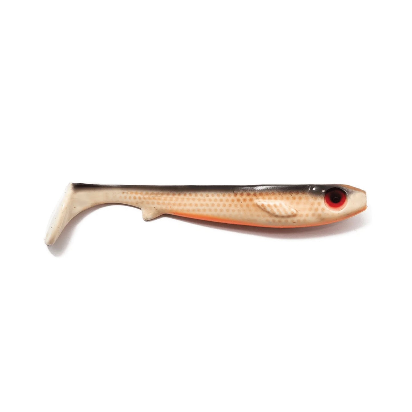 Kanalgratis Flatnose Shad