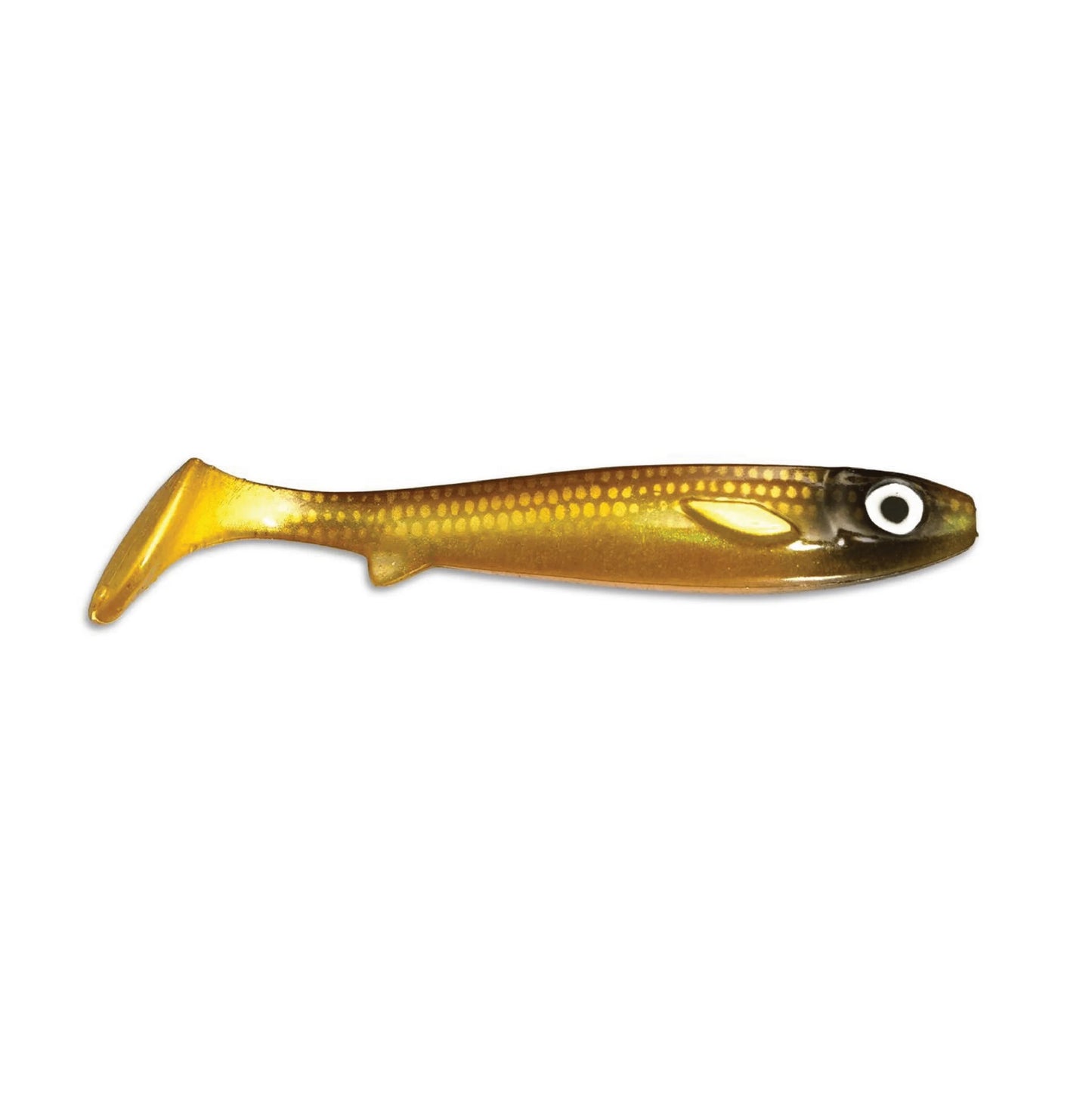 Kanalgratis Flatnose Shad