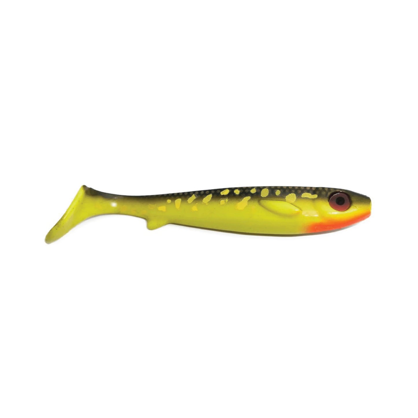 Kanalgratis Flatnose Shad