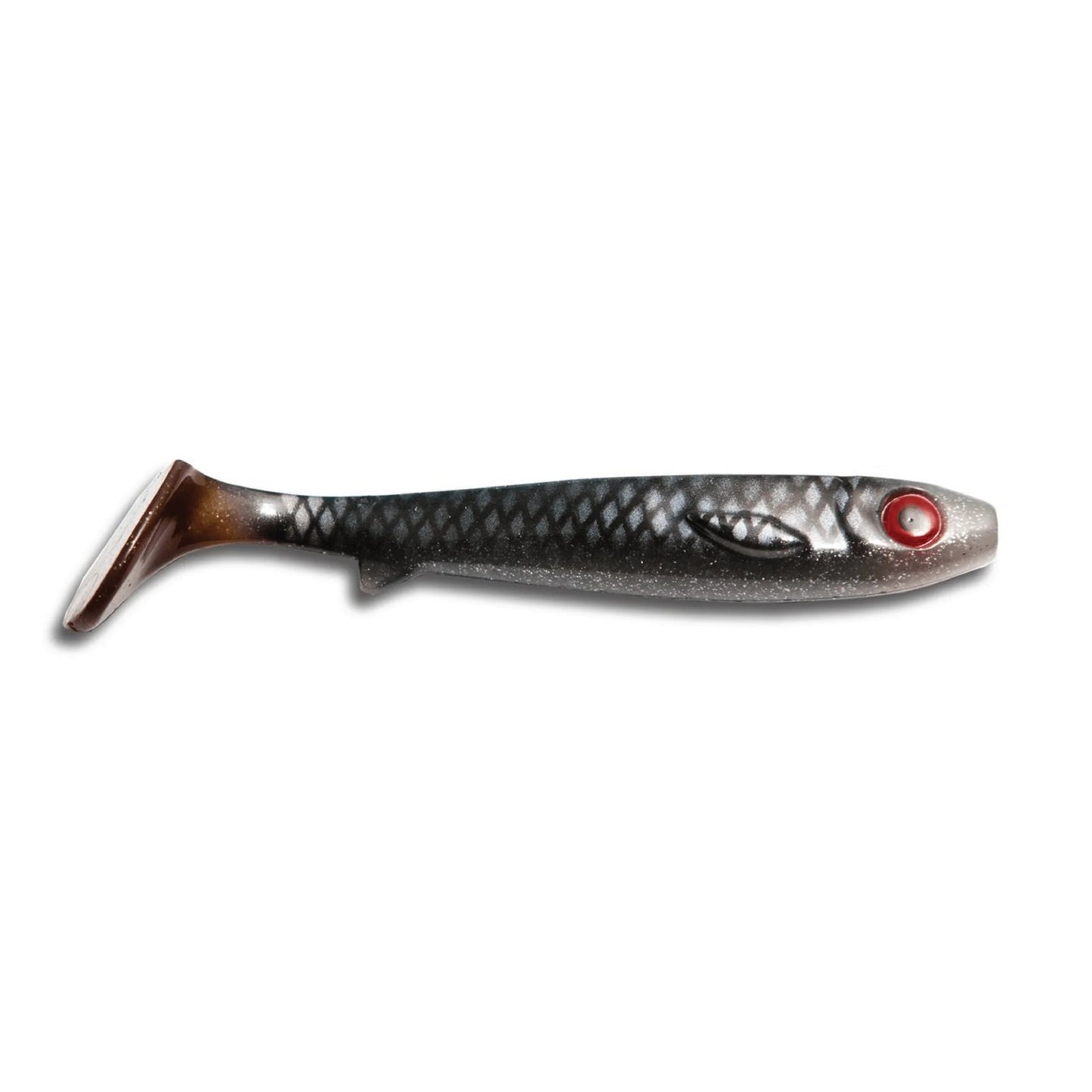 Kanalgratis Flatnose Shad