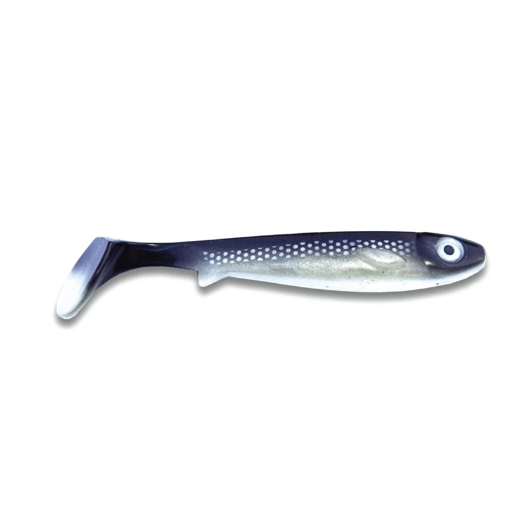 Kanalgratis Flatnose Shad